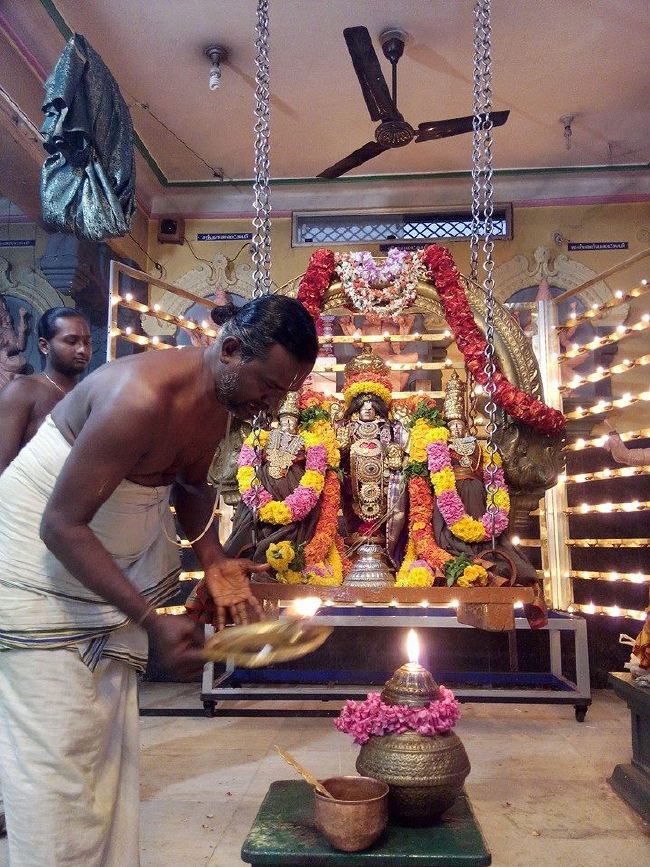 Cheyyar Sri Adhikesava Perumal Temple Thirukalyana Utsavam  2015-2