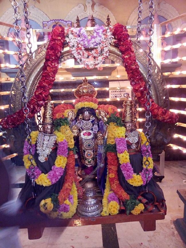 Cheyyar Sri Adhikesava Perumal Temple Thirukalyana Utsavam  2015-4