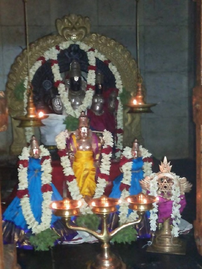 HH 46th Srimath Azhagiyasingar Vijayam to Palakkad11