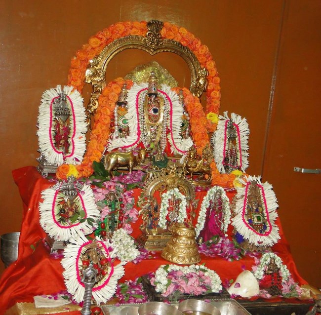 HH Srimath Srimushnam Andavan Masa Thirunakshatram At Tirumala15