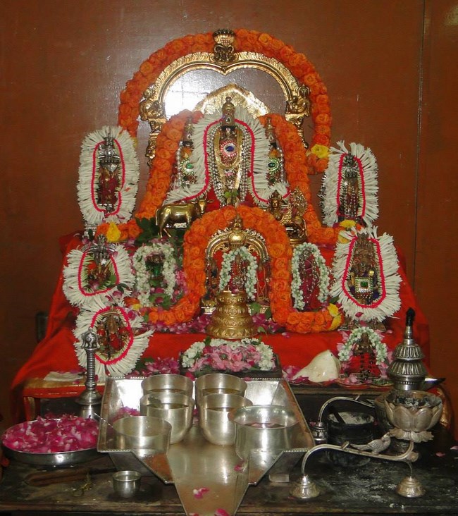 HH Srimath Srimushnam Andavan Masa Thirunakshatram At Tirumala42