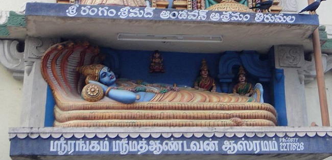 HH Srimath Srimushnam Andavan Masa Thirunakshatram At Tirumala51