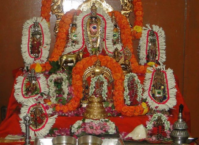 HH Srimath Srimushnam Andavan Masa Thirunakshatram At Tirumala8