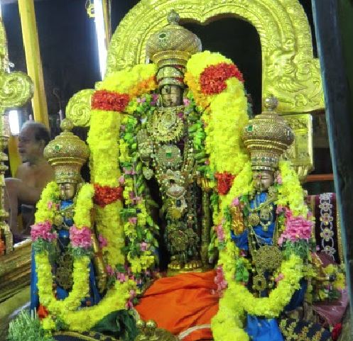 Kanchi Ananthasaras  theppotsavam
