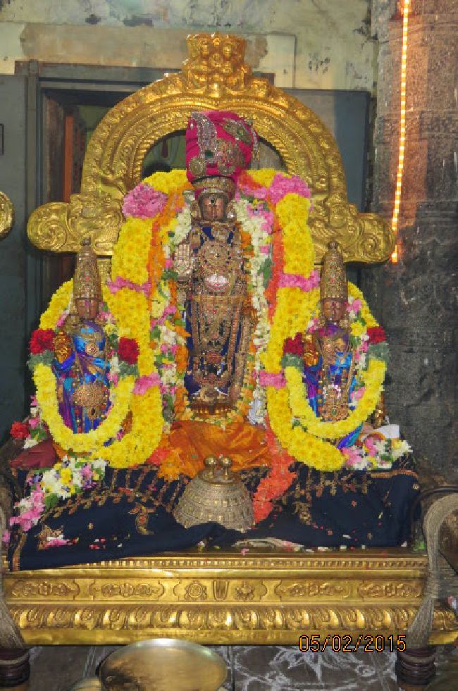 Kanchi Devarajaswami Temple Thirumazhisai Azhwar Thirunakshatra Utsavam  2015-10