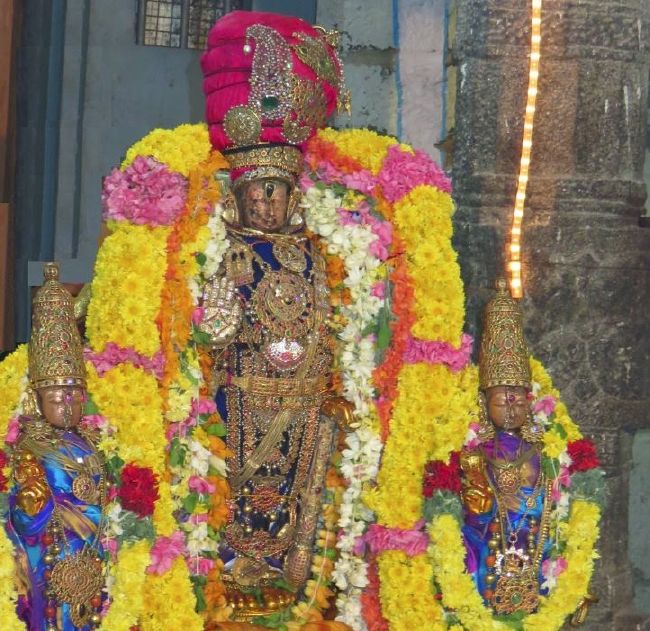 Kanchi Devarajaswami Temple Thirumazhisai Azhwar Thirunakshatra Utsavam  2015-19