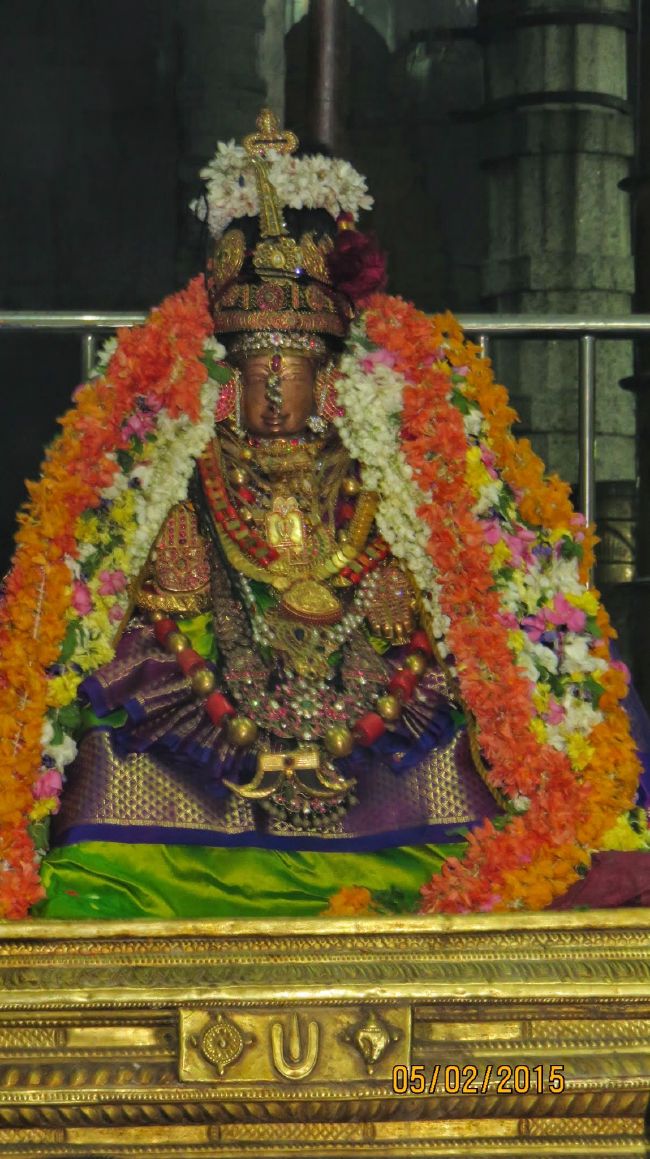 Kanchi Devarajaswami Temple Thirumazhisai Azhwar Thirunakshatra Utsavam  2015-34