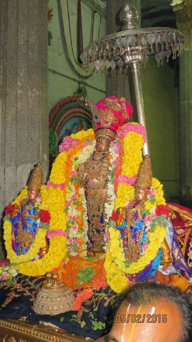 Kanchi Devarajaswami Temple Thirumazhisai Azhwar Thirunakshatra Utsavam  2015-41
