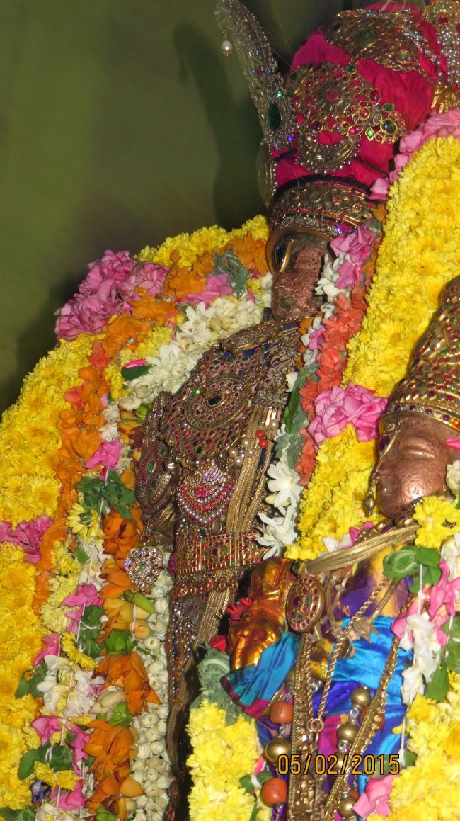 Kanchi Devarajaswami Temple Thirumazhisai Azhwar Thirunakshatra Utsavam  2015-42