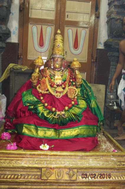 Kanchi Sri Devaperumal Ananthasaras Theppotsavam Day 1 2015-14