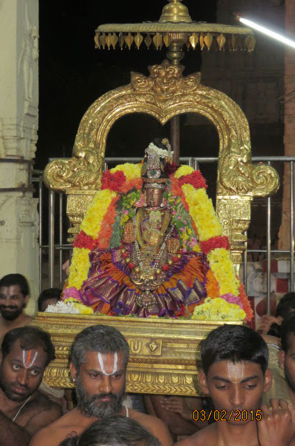 Kanchi Sri Devaperumal Ananthasaras Theppotsavam Day 1 2015-51