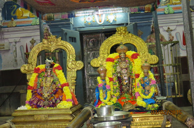 Kanchi Sri Devaperumal Ananthasaras Theppotsavam Day 1 2015-56