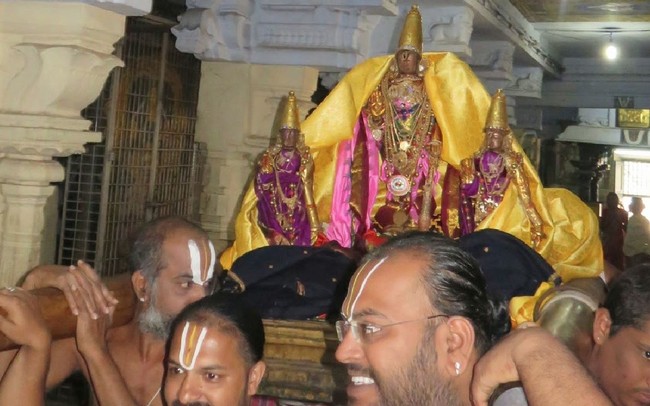 Kanchi Sri Devaperumal Masi Maasa pirappu Purappadu  2015 -02