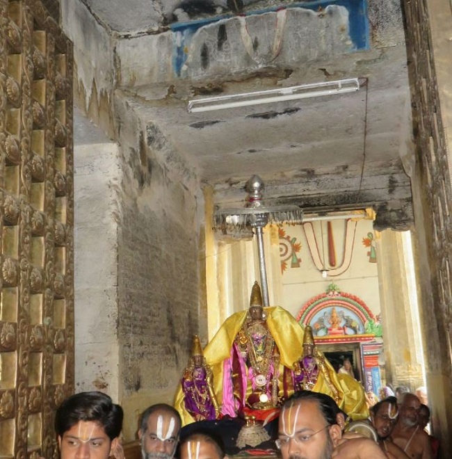 Kanchi Sri Devaperumal Masi Maasa pirappu Purappadu  2015 -13