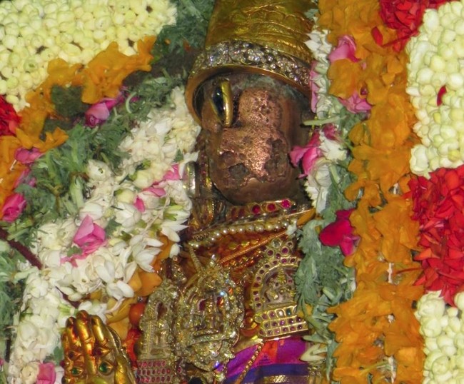 Kanchi Sri Devaperumal Masi Maasa pirappu Purappadu  2015 -26