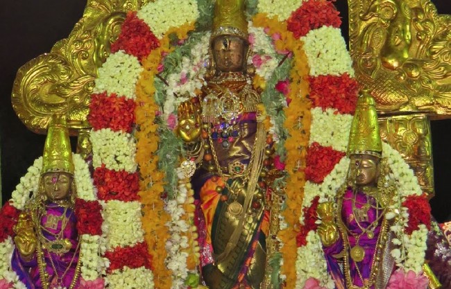 Kanchi Sri Devaperumal Masi Maasa pirappu Purappadu  2015 -28