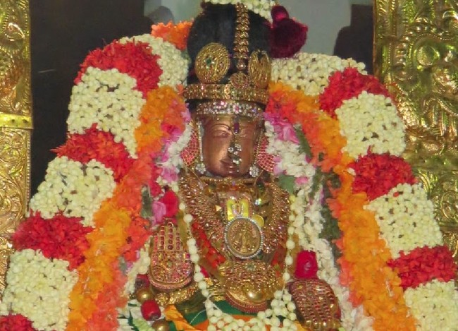 Kanchi Sri Devaperumal Masi Maasa pirappu Purappadu  2015 -31