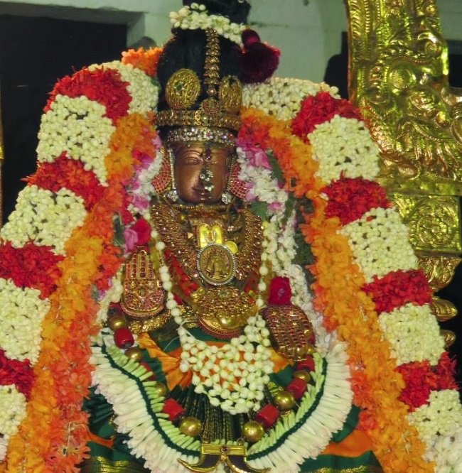 Kanchi Sri Devaperumal Masi Maasa pirappu Purappadu  2015 -33