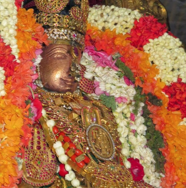 Kanchi Sri Devaperumal Masi Maasa pirappu Purappadu  2015 -38