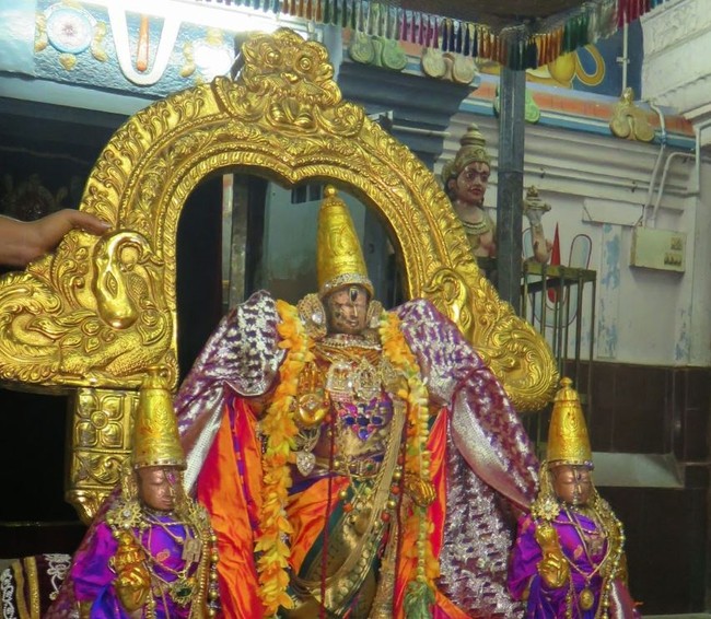 Kanchi Sri Devaperumal Masi Maasa pirappu Purappadu  2015 -45
