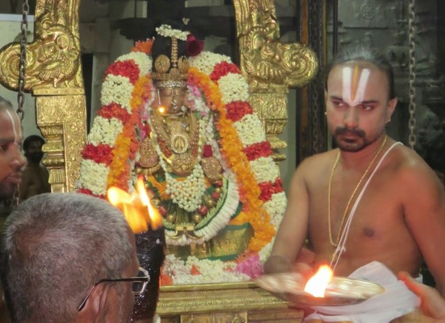 Kanchi Sri Devaperumal Masi Maasa pirappu Purappadu  2015 -47