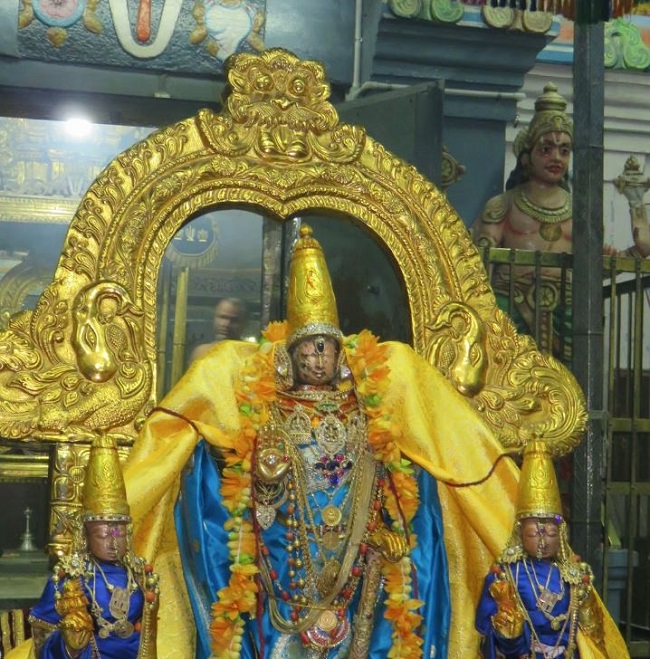 Kanchi Sri Devarajaswami Temple Masi Sukla Ekadasi Purappadu  2015 -05
