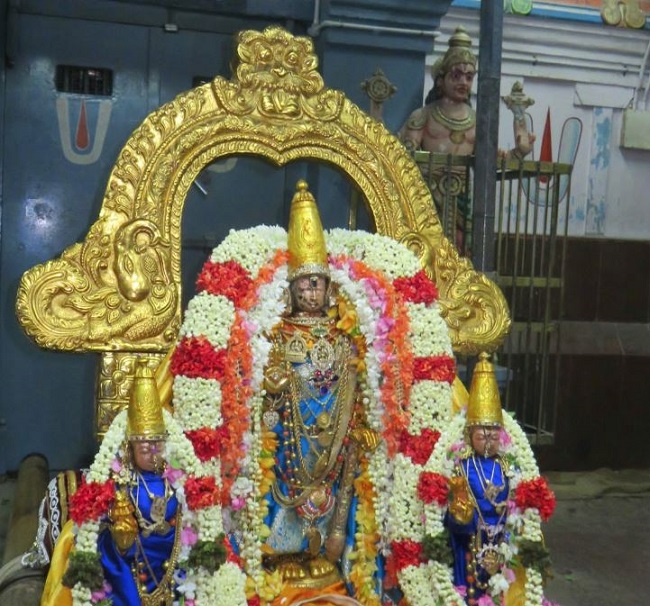 Kanchi Sri Devarajaswami Temple Masi Sukla Ekadasi Purappadu  2015 -06
