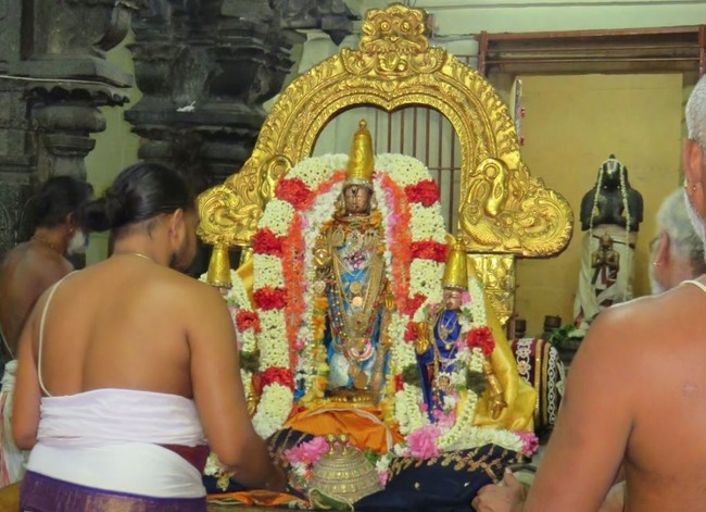 Kanchi Sri Devarajaswami Temple Masi Sukla Ekadasi Purappadu  2015 -08