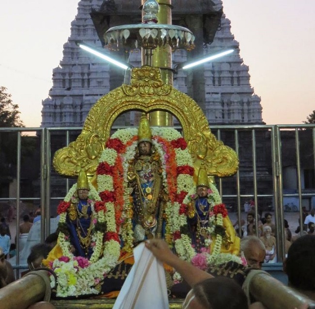 Kanchi Sri Devarajaswami Temple Masi Sukla Ekadasi Purappadu  2015 -31