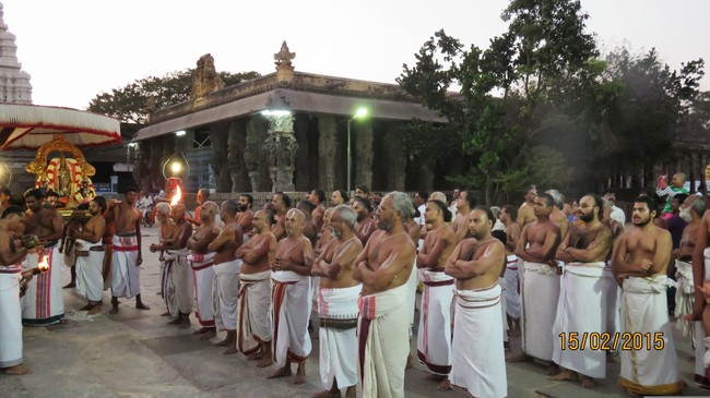 Kanchi Sri Devarajaswami Temple Masi Sukla Ekadasi Purappadu  2015 -34
