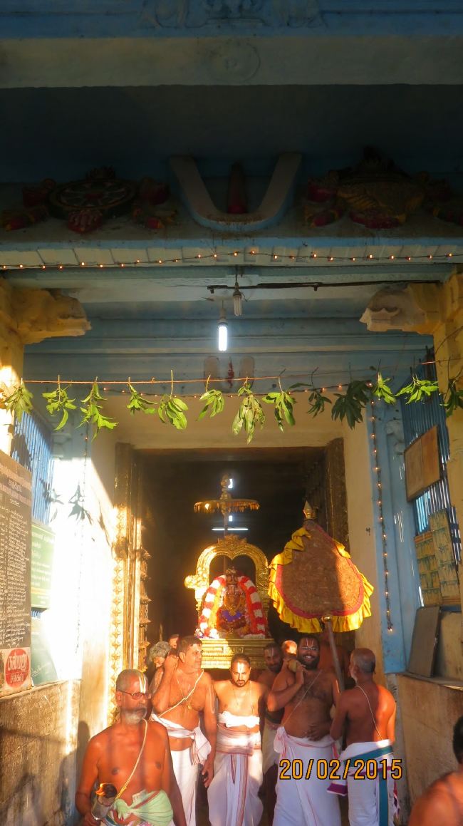 Kanchi Sri Perundhevi Thayar Masi  Sukravara Purappadu 2015 -05