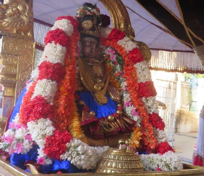Kanchi Sri Perundhevi Thayar Masi  Sukravara Purappadu 2015 -10