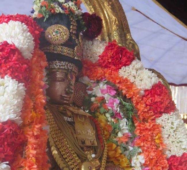 Kanchi Sri Perundhevi Thayar Masi  Sukravara Purappadu 2015 -11