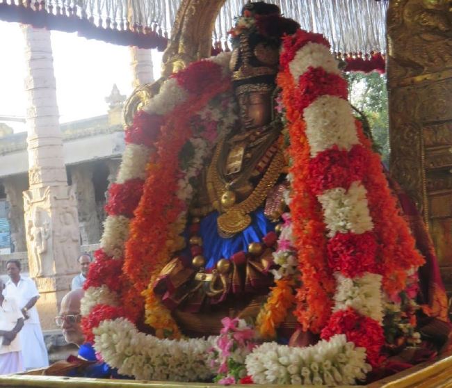Kanchi Sri Perundhevi Thayar Masi  Sukravara Purappadu 2015 -12