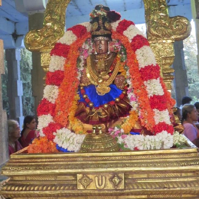 Kanchi Sri Perundhevi Thayar Masi  Sukravara Purappadu 2015 -17