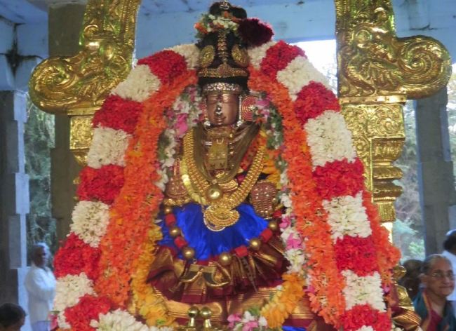 Kanchi Sri Perundhevi Thayar Masi  Sukravara Purappadu 2015 -18