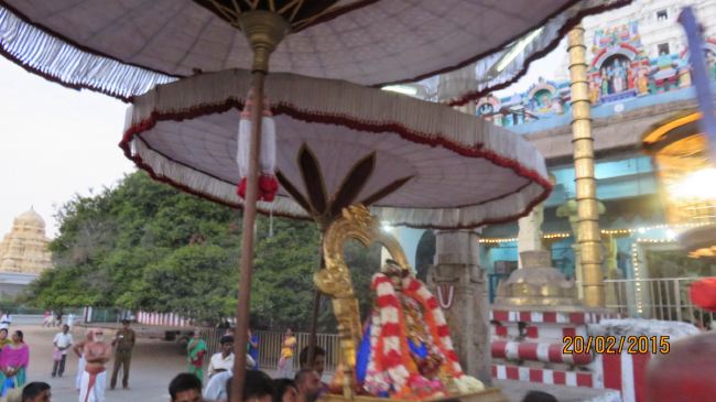 Kanchi Sri Perundhevi Thayar Masi  Sukravara Purappadu 2015 -19