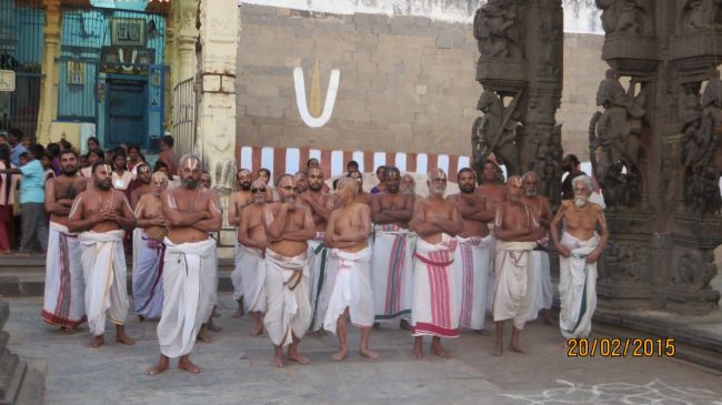 Kanchi Sri Perundhevi Thayar Masi  Sukravara Purappadu 2015 -20