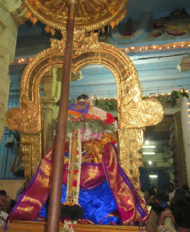 Kanchi Sri Perundhevi Thayar Masi  Sukravara Purappadu 2015 -23