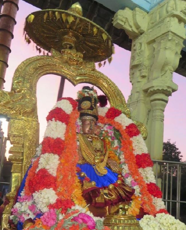 Kanchi Sri Perundhevi Thayar Masi  Sukravara Purappadu 2015 -24