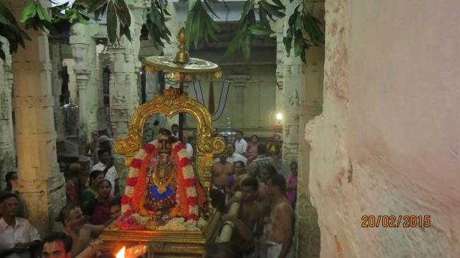 Kanchi Sri Perundhevi Thayar Masi  Sukravara Purappadu 2015 -26