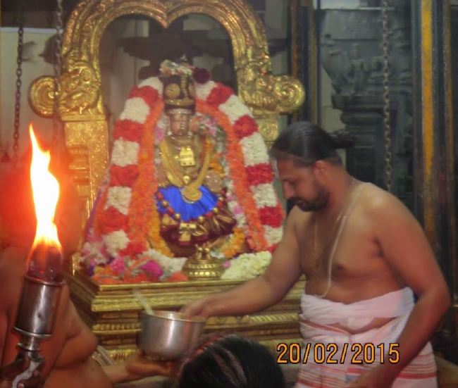 Kanchi Sri Perundhevi Thayar Masi  Sukravara Purappadu 2015 -29