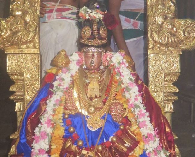 Kanchi Sri Perundhevi Thayar Masi  Sukravara Purappadu 2015 -31