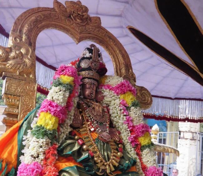 Kanchi Sri Perundhevi Thayar Sukravara Purappadu 2015-02