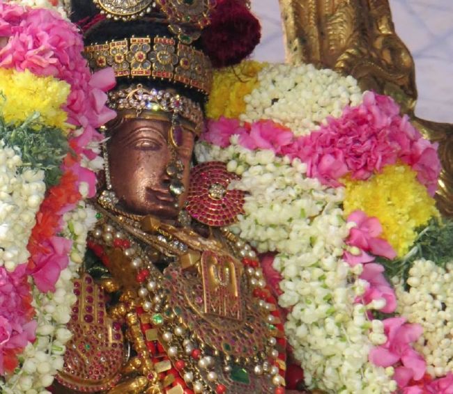 Kanchi Sri Perundhevi Thayar Sukravara Purappadu 2015-03