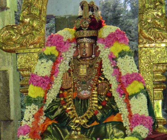Kanchi Sri Perundhevi Thayar Sukravara Purappadu 2015-13