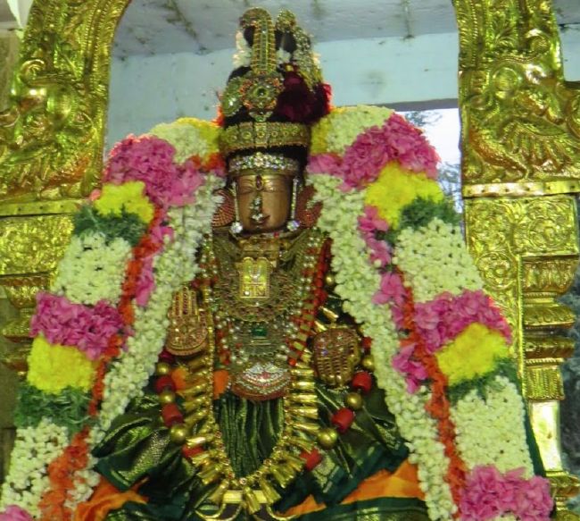 Kanchi Sri Perundhevi Thayar Sukravara Purappadu 2015-14