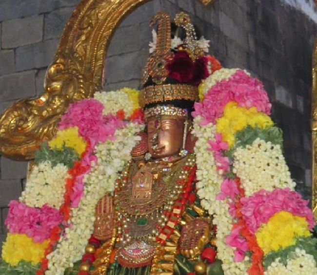 Kanchi Sri Perundhevi Thayar Sukravara Purappadu 2015-18