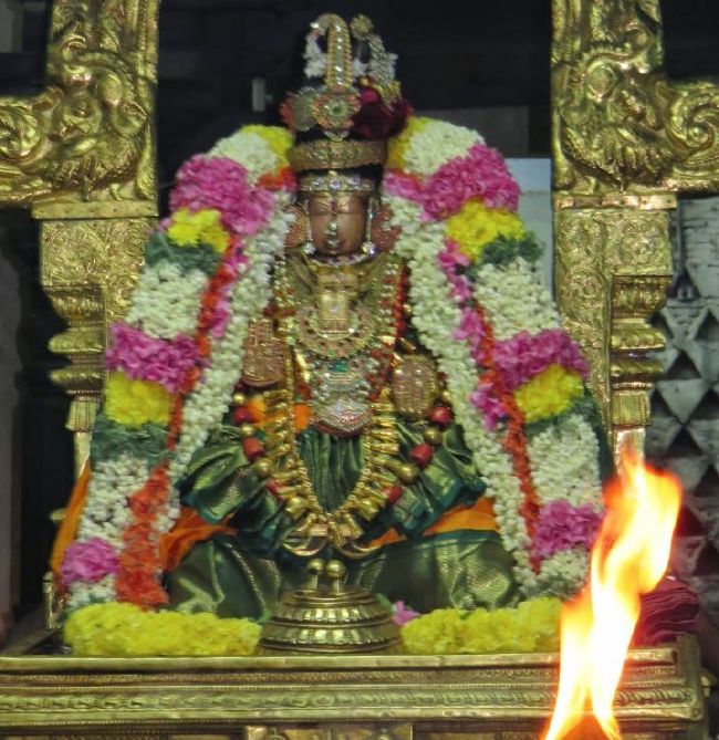 Kanchi Sri Perundhevi Thayar Sukravara Purappadu 2015-39