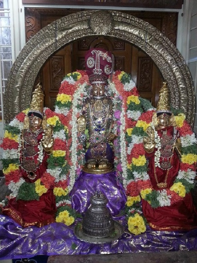 Keelkattalai Sri Srinivasa Perumal Temple Dhavanaothsavam14